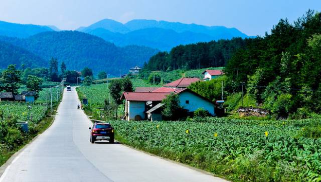 宜昌周边适合避暑的古镇,宜昌小众避暑景点