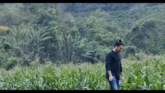 六大茶山的茶特点,六大茶山为什么茶那么好