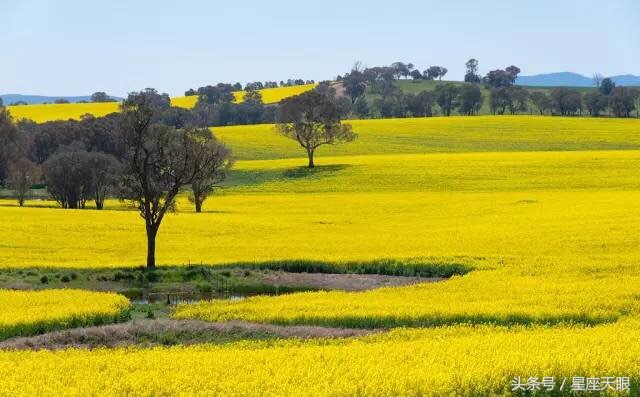 星座天眼：摩羯座、水瓶座、双鱼座7月11日（星期二）运势任何事情都是从一个决心、一粒种子开始的