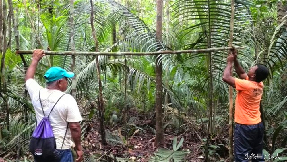 达人J：巴西的盛宴