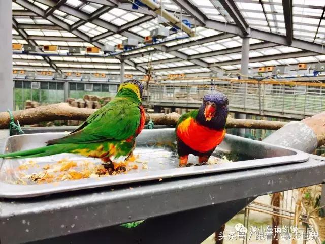 高淳去南京玩,高淳看荷花