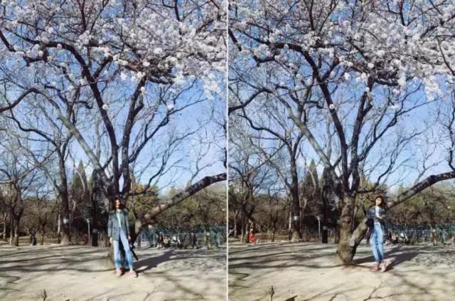 puma蕾哈娜蝴蝶结款2019,puma鞋子黑色蕾哈娜