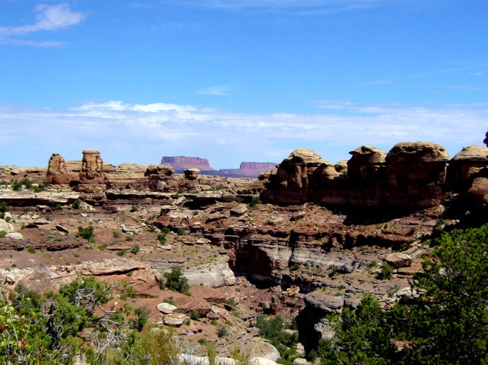 美西大峡谷简介,美国红杉国家公园一日游