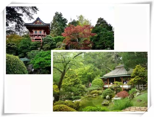 美西景点,美西游玩