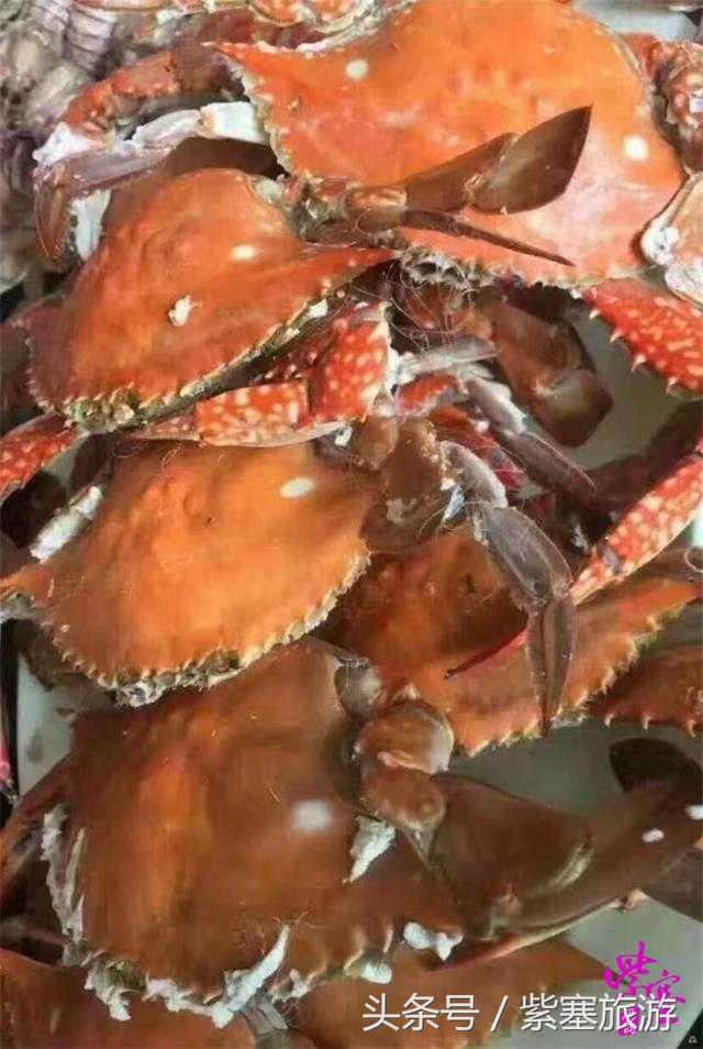 河北农家乐旅游攻略,紫塞白洋淀田水园农家院