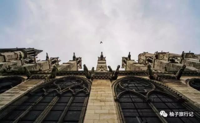 有惊无险大难不死,有惊无险现场完整版