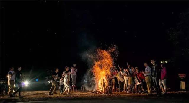 隐藏在森林里的现代别墅,隐藏在深山的豪宅