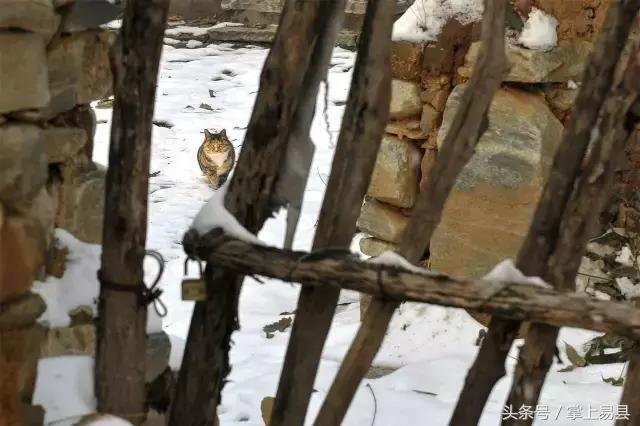 易县最美风景,易县风景美如画