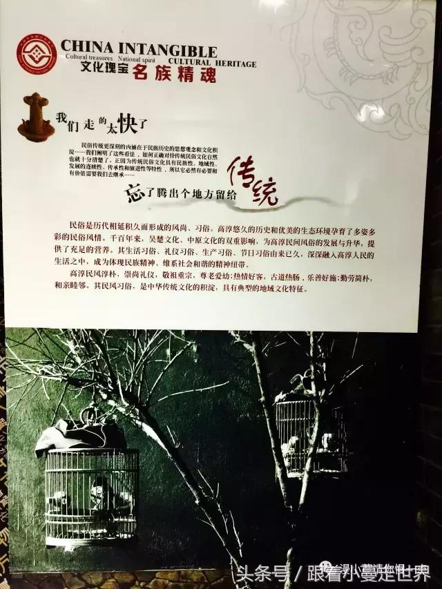 高淳去南京玩,高淳看荷花