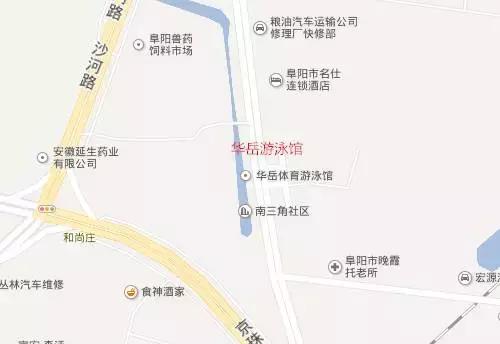 阜阳游泳的地方哪里最好玩,阜阳有哪些游泳的地方