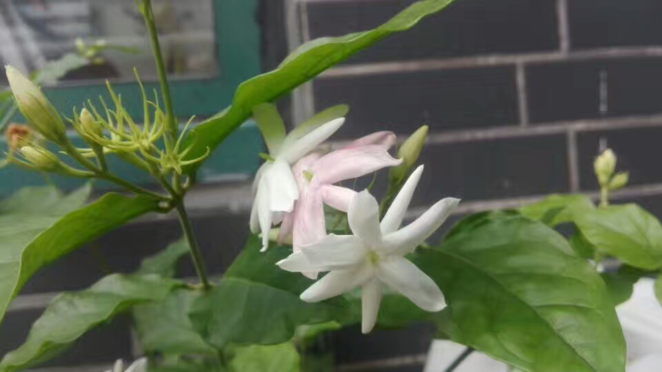 中年以后要懂得人情冷暖,中年人好忘事