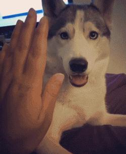 听说你不开心,听说你不开心沙雕片段