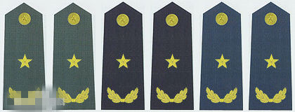 火箭军少校军衔肩章是什么样子,1955年陆军技术少校肩章图片