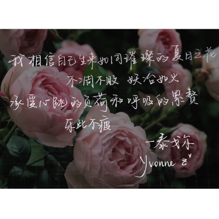 愿情话终有主你我不孤,愿情话终有主你我不孤独