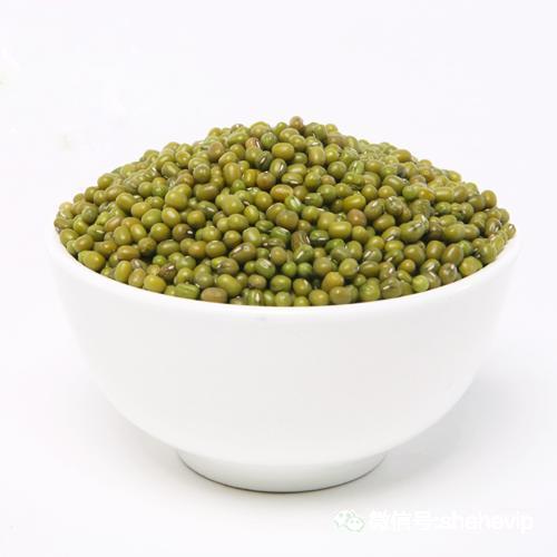 三伏天宝宝湿疹爆发,一到热天宝宝皮肤就起湿疹皮炎