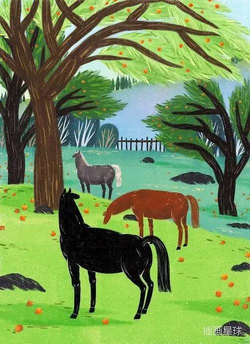 一个一心想做农场主、爱插画会装置的菇凉｜本土插画师GraceSuen