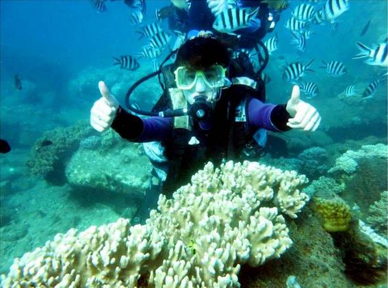 三亚潜水攻略大全,三亚怎么才能自由潜水