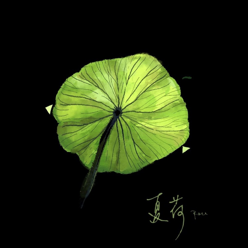 浙江大学学霸创业身家百亿,浙大创业男投资