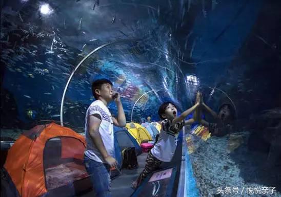 单飞露营,露营还可以做哪些活动