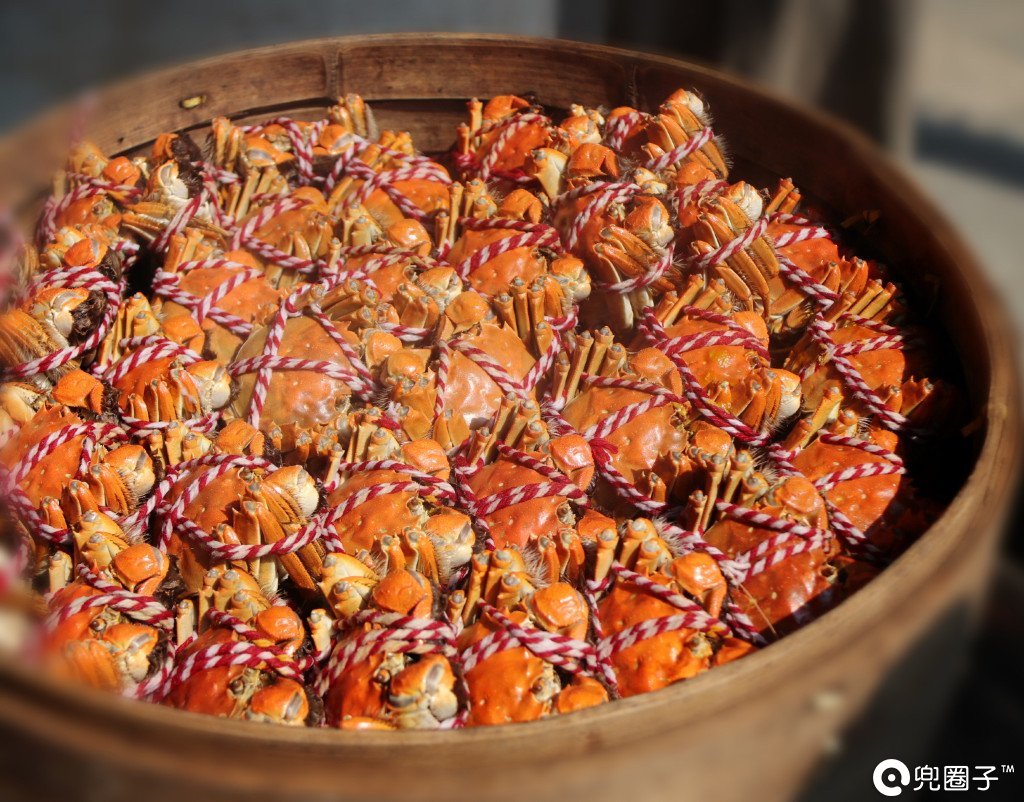 南浔古镇湖边民宿排行榜,南浔古镇民宿排行榜前十名