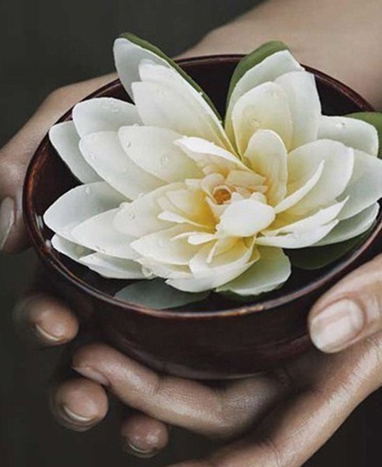 纯天然就是无公害,纯天然就真的安全吗别被骗了