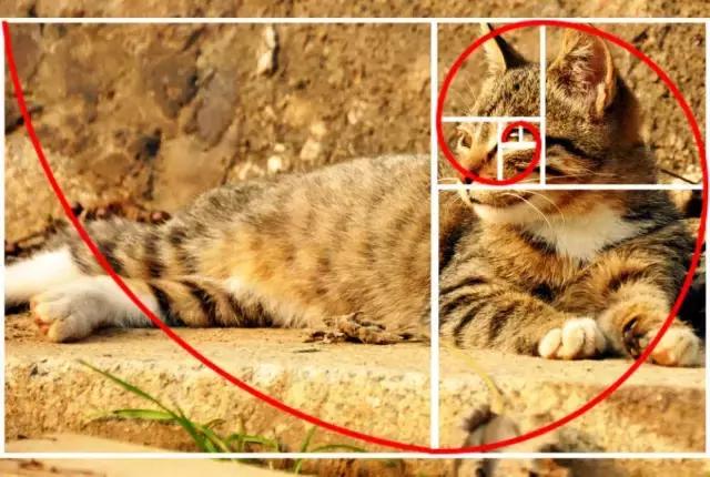 不会拍照的男朋友,男朋友不会照相的技巧