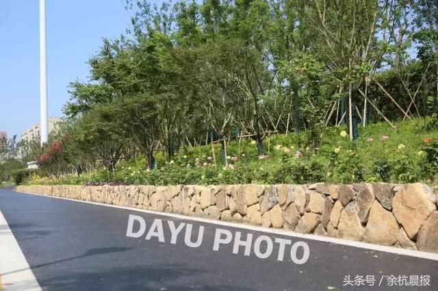 水漾人家6栋,水漾人家海南