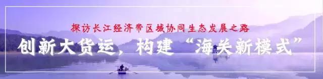 网媒人高温前行，实地探访后，想说这里“港港的”