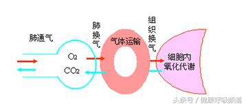 肺心病患者肺内二氧化碳太多，该怎么办？