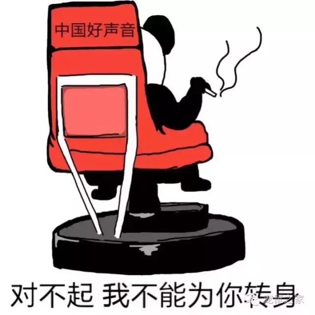 写给猪猪小情书,盘点猪猪最好听的歌