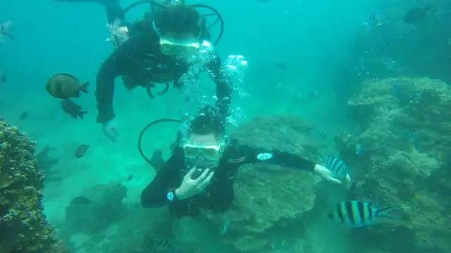 三亚潜水避坑攻略,三亚潜水新技巧