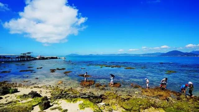 三亚潜水攻略大全,三亚怎么才能自由潜水