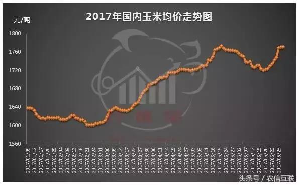 今年玉米价格涨还是跌,2023年玉米价格上涨的原因