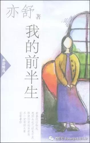 我的前半生罗子君爱情故事,我的前半生罗子君评价