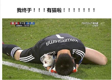 足球比赛上的猫咪,足球比赛上的猫