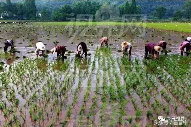 榆次老城童年回忆,榆次童年的味道