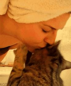 猫咪割双眼皮对比图,猫咪割双眼皮后对比