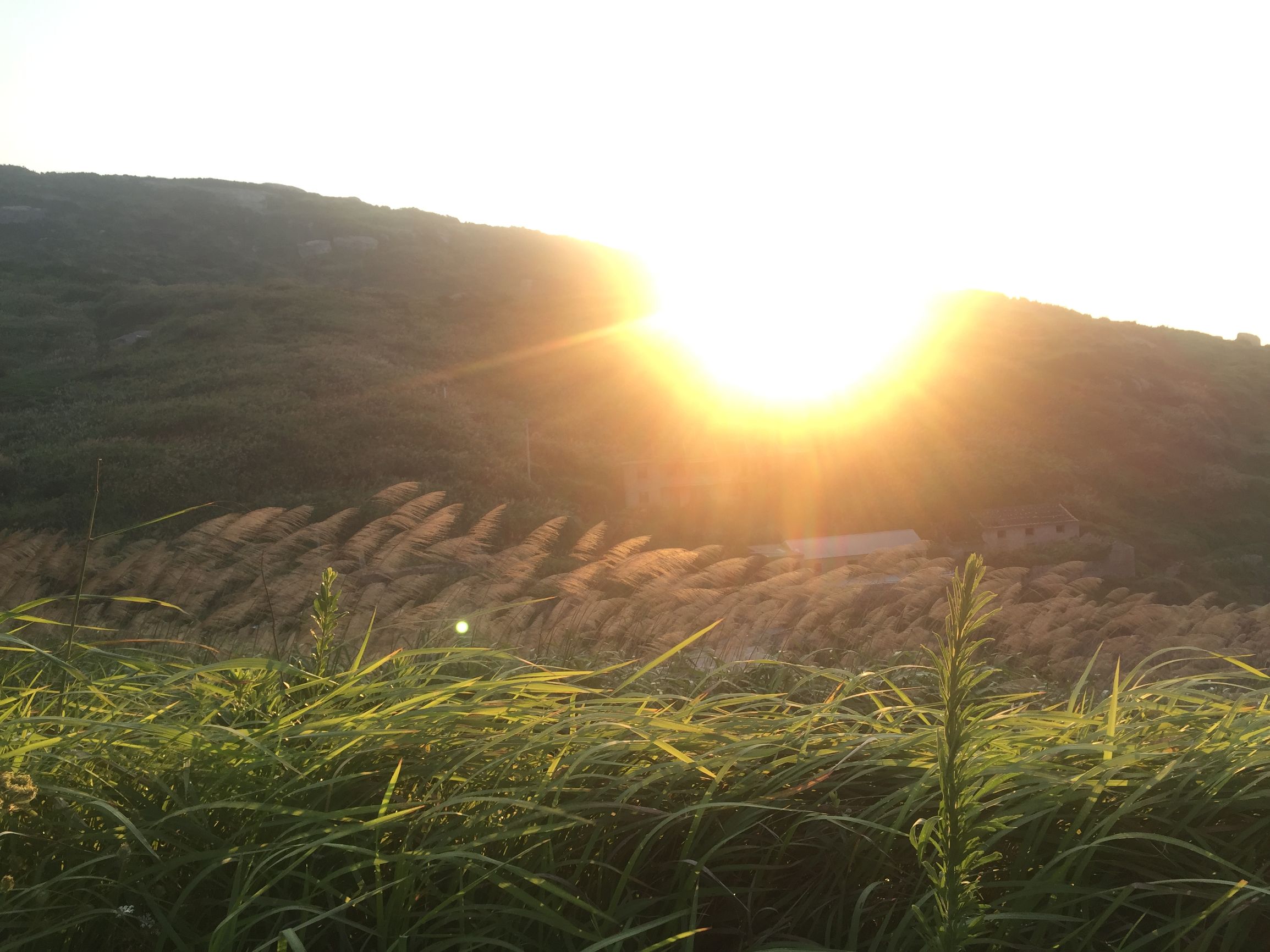舟山旅行四年级英语绘本,舟山旅游攻略必去景点