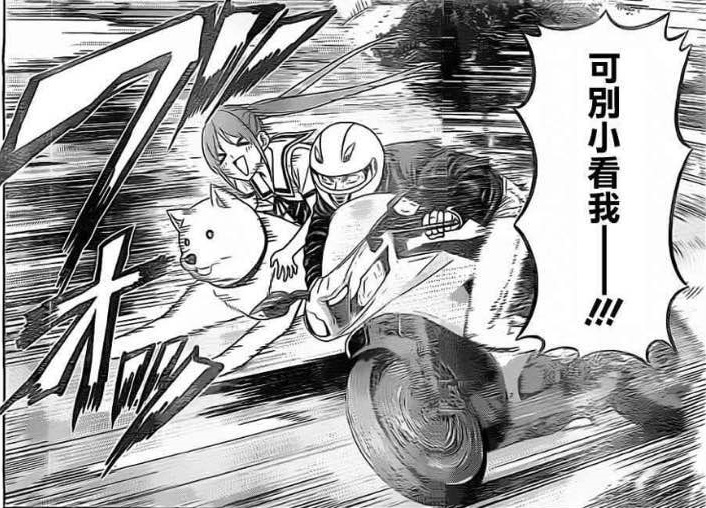 《笨女孩》被一个笨蛋带坏的小镇,唯独这条狗全面过人