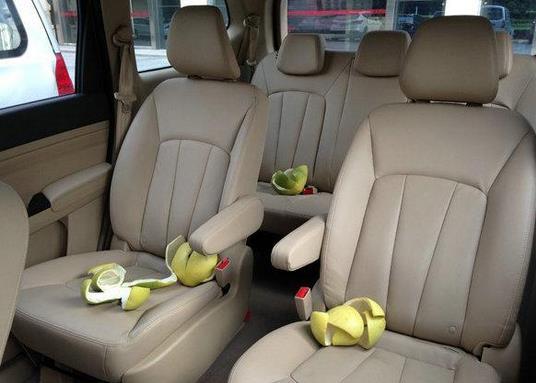 夏天车内有异味怎么去除,夏天车内异味去除方法