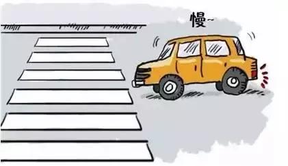 今天,我们来为这些攀枝花驾驶员点个赞吧