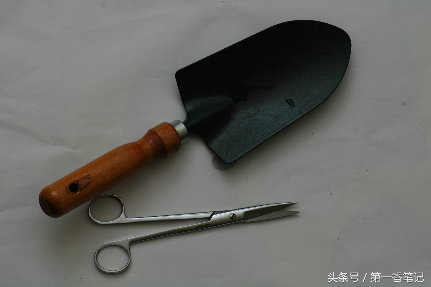 颗粒植料上盆养兰视频,滇西养兰人讲兰花上盆