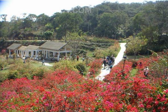 厦门情侣约会的26个地点有哪些,厦门岛内约会最佳地点