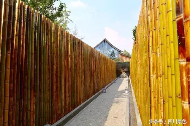 成都旅行轻奢帐篷哪里有,成都可以住帐篷的旅游景点有哪些