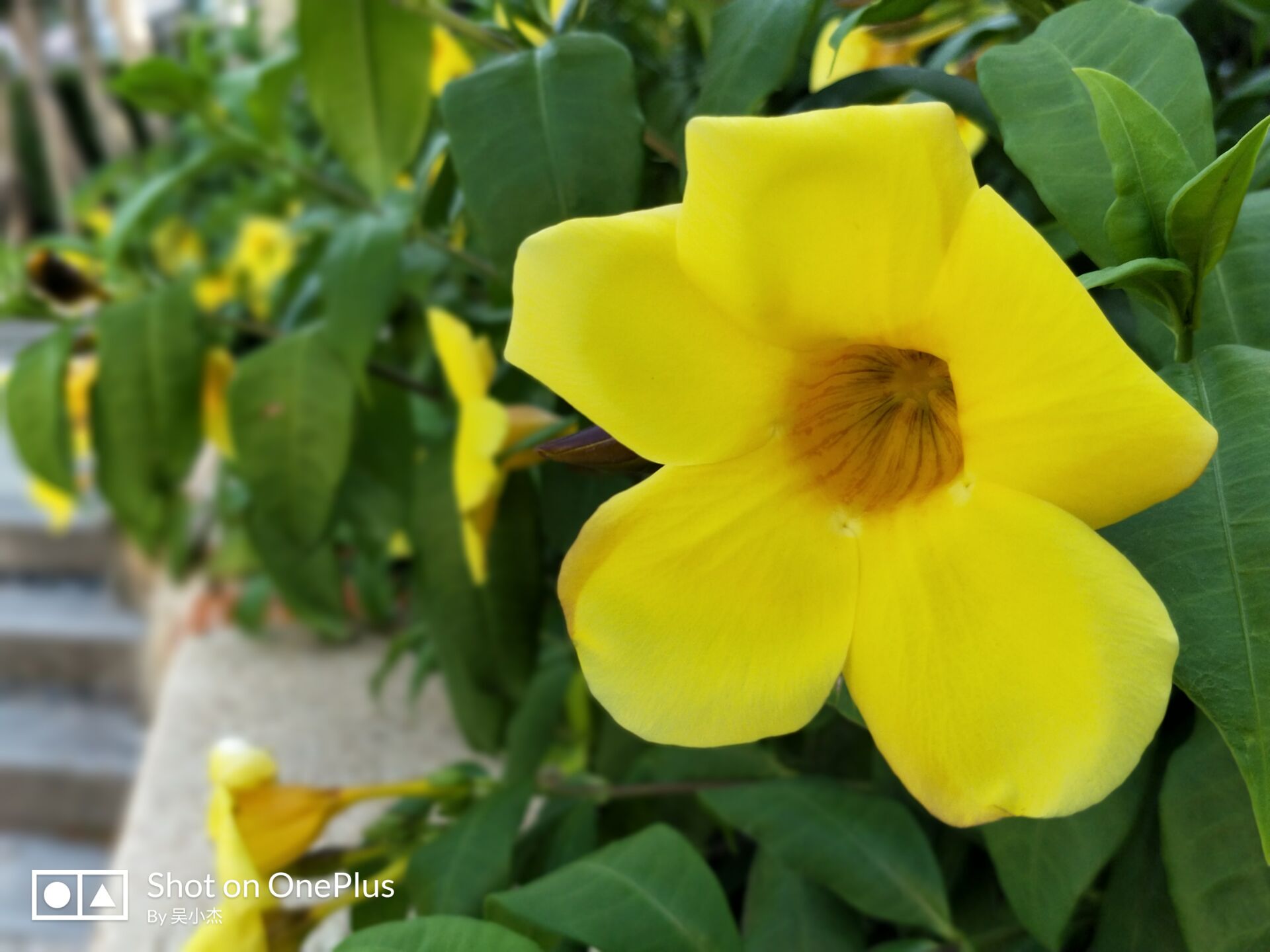 一加5现在还值得入手,一加5到底行不行