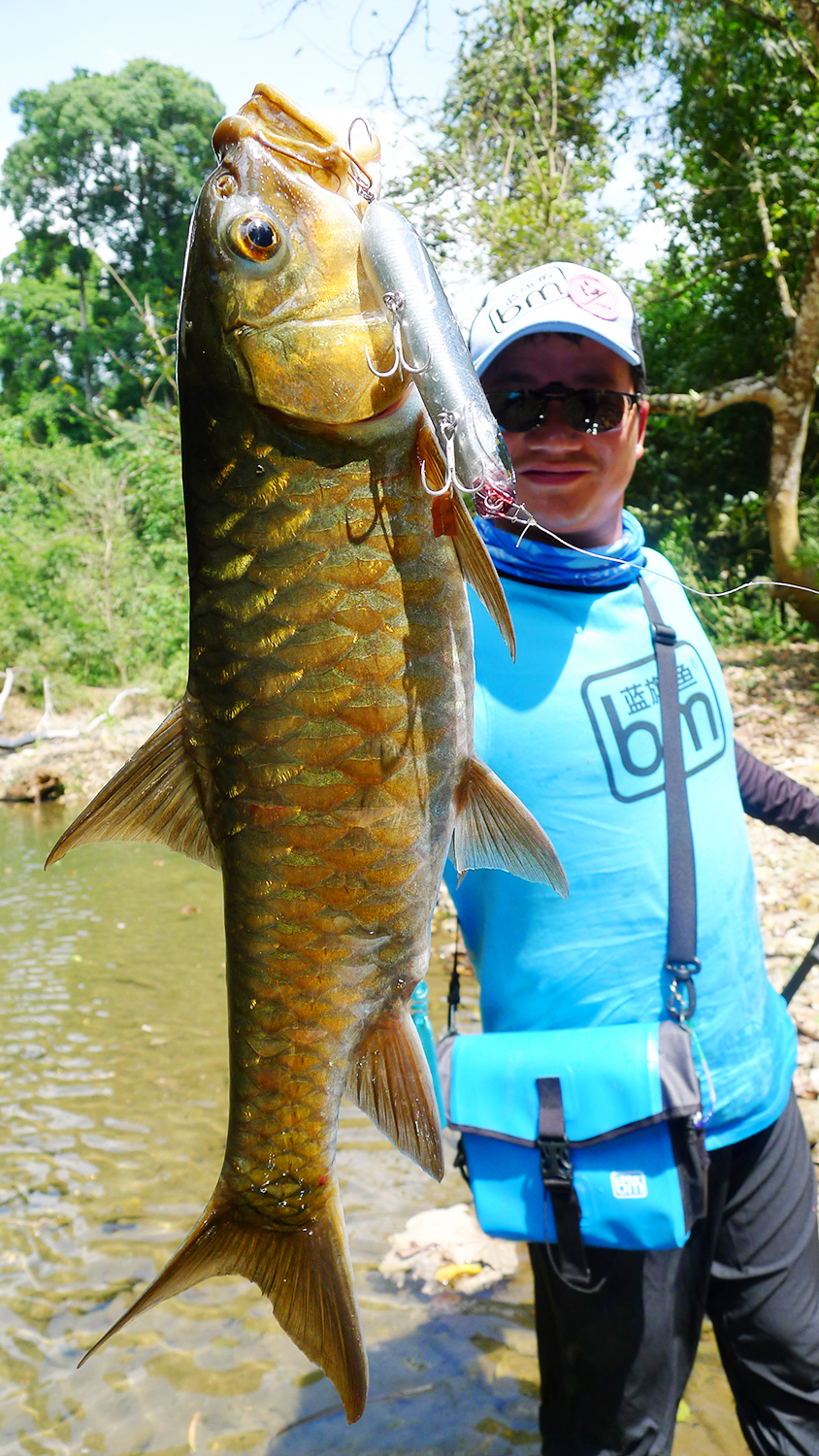 不一样的钓鱼,不一样的食肉鱼
