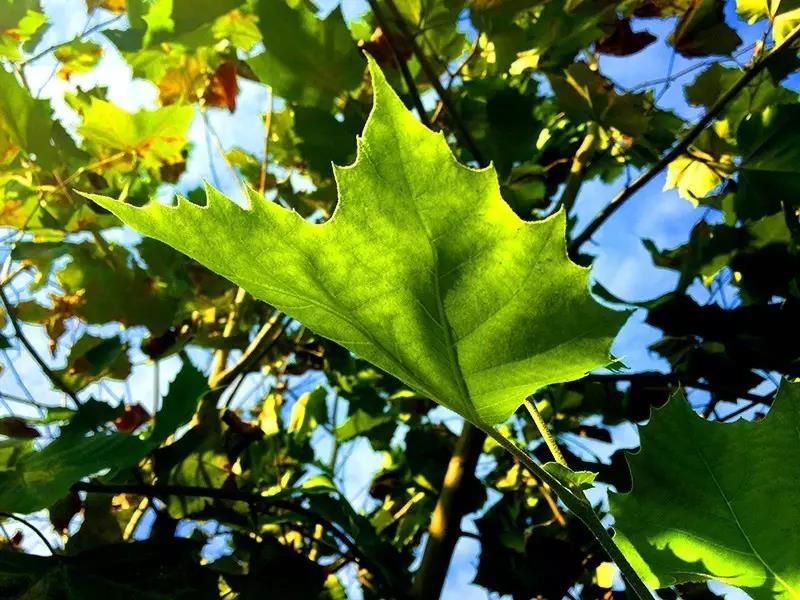 夏一站，我在仙林高校等你