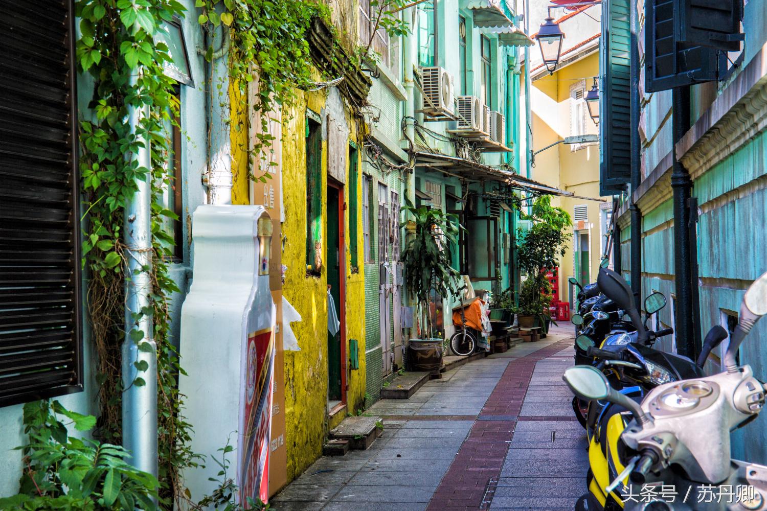 澳门最有名的街边小吃,澳门最好吃的美食排行榜