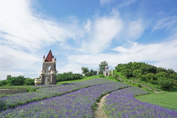 浙江嘉善大云旅游,嘉善大云周末玩的地方推荐