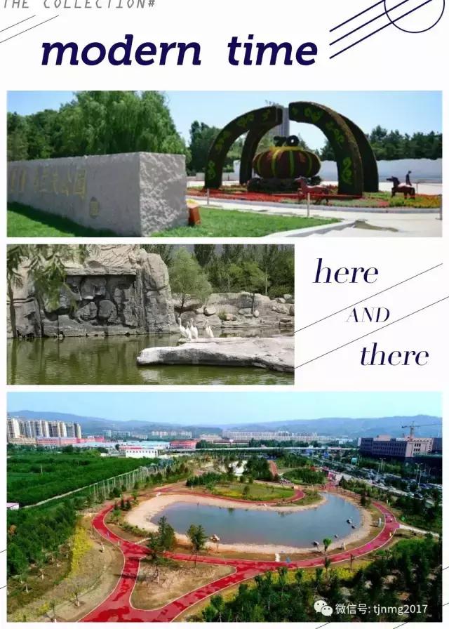 醉美西城｜“城在绿中人在景中”探访绿荫之下的回民区